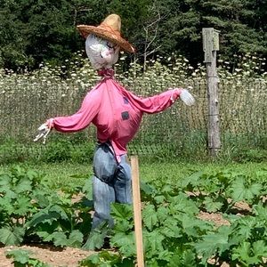 Meet your Posher, Mary